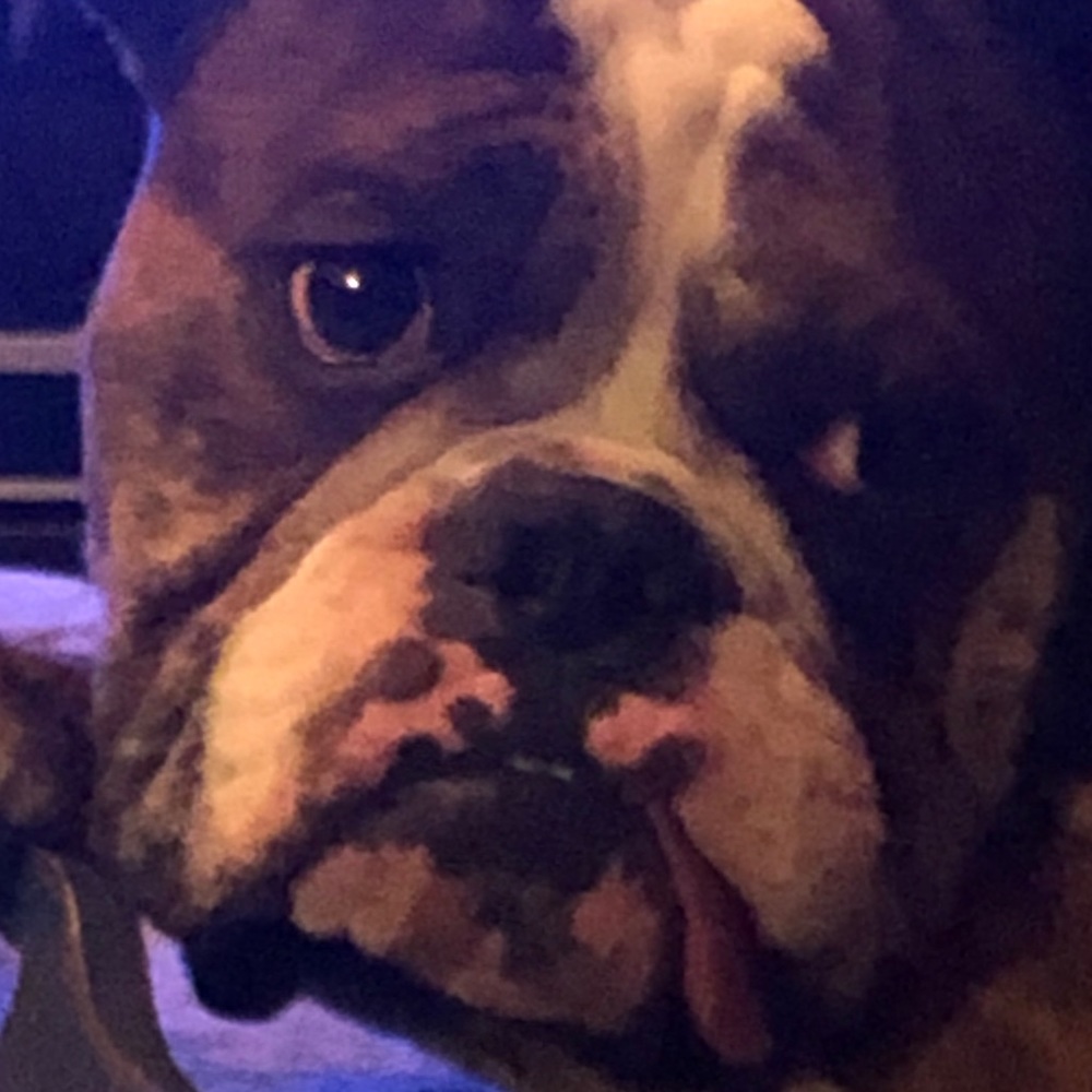 Meet your Posher, Michelle